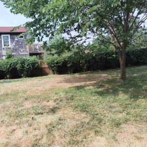 Bush Trimming by Biggs customs reviewed on August 19, 2025