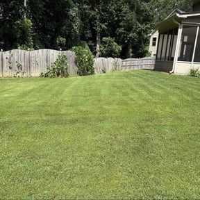yard service by A-1 Affordable Lawn Care reviewed on August 17, 2025