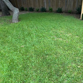 yard maintenance by Holy Nation Records reviewed on August 20, 2025
