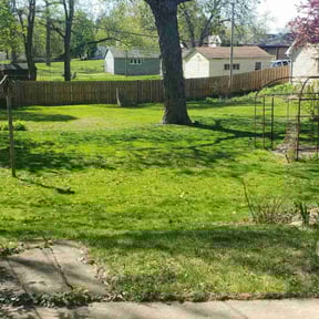 turf maintenance by Stonescaping reviewed on May 13, 2024