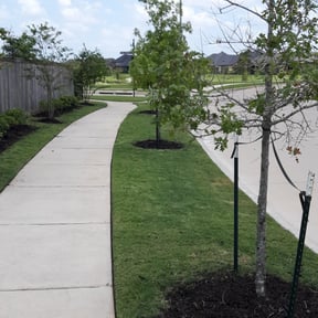 Flower Bed Weeding by Joe's Tree & Lawn Services reviewed on August 17, 2025
