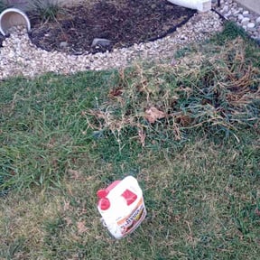 Flower Bed Weeding by KCT Landscaping  reviewed on August 18, 2026