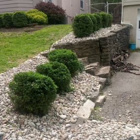 Bush Trimming by lawn care reviewed on August 16, 2025