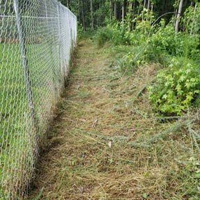 Bush Trimming by FRAMPTON'S LAWN SERVICE reviewed on August 16, 2025