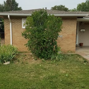 Bush Trimming by Bernal landscaping reviewed on August 16, 2025