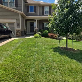 yard care by Florida Georgia Service's LLC reviewed on August 18, 2025