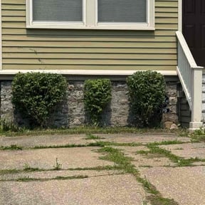 Bush Trimming by ABSIT PROFESSIONALS LLC Lawn Service reviewed on October 21, 2025