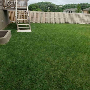 landscaping by Pinstripe Lawns and Tree Service reviewed on June 4, 2023
