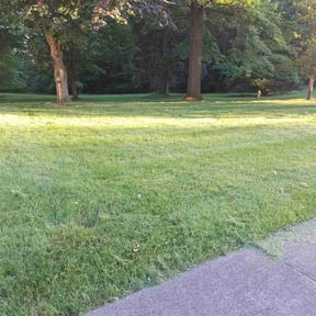 grass maintenance by A Little Help Lawn Service reviewed on April 29, 2025