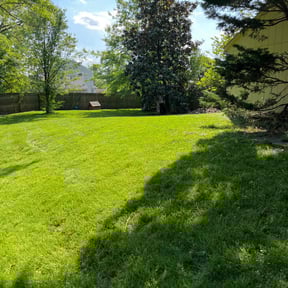 yard service by Daniel Torres reviewed on July 4, 2025