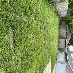 Leaf Removal by A&j lawn care service reviewed on August 18, 2025