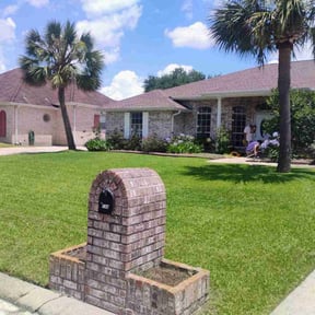 yard care by All Trim Lawn Services, Inc. reviewed on August 20, 2025