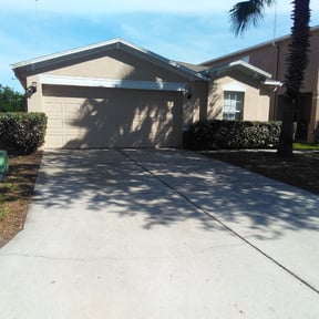 Leaf Removal by Dietrich’s Property Maintenance reviewed on August 18, 2025