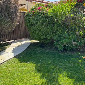 Bush Trimming by José Peraza All House Service reviewed on May 8, 2024