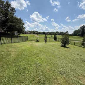 residential landscaping by Three Roots Landscaping &amp; Junk Removal reviewed on November 23, 2025