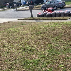 Leaf Removal by Martínez landscaping reviewed on October 2, 2025