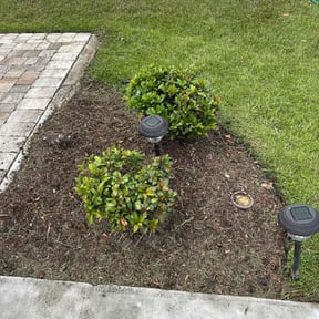 Bush Trimming by Al's Lawn care service/maintenance reviewed on November 23, 2025