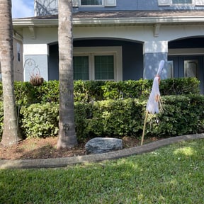 Bush Trimming by MGR Home Servers reviewed on August 21, 2025