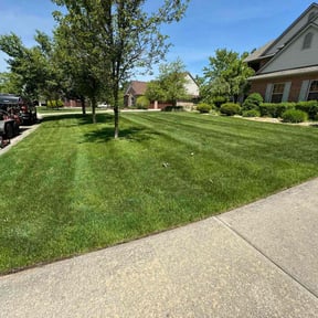 turf maintenance by TC SERVICES reviewed on June 30, 2022