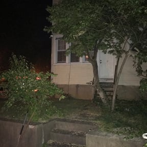 Bush Trimming by Mario Lawn Service reviewed on August 18, 2025