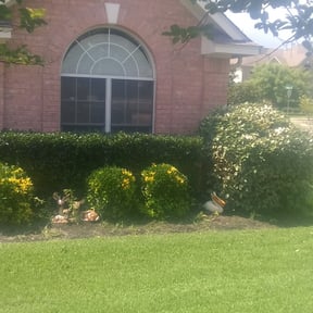 Bush Trimming by Real Deal Lawn Care LLC reviewed on August 17, 2025
