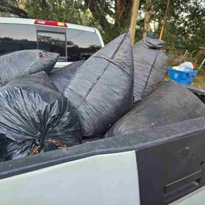 Leaf Removal by David Milla reviewed on December 25, 2025