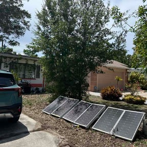 Bush Trimming by Athena's Lawn Solutions reviewed on July 16, 2026