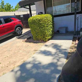 lawn care by Matus lawncare reviewed on August 14, 2025