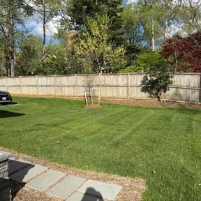 Lawn Mowing by First Landscape reviewed on August 19, 2025