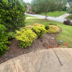Flower Bed Weeding by DS Pro Landscaping &amp; More Inc reviewed on May 29, 2026