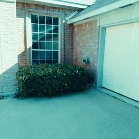 Bush Trimming by East Raleigh Landscaping reviewed on August 15, 2025