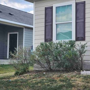 Bush Trimming by CT Mowing reviewed on November 7, 2025