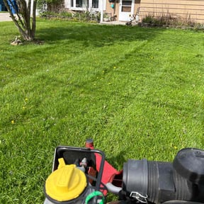grass cutting by Ariel and daddy lawn care reviewed on May 29, 2024