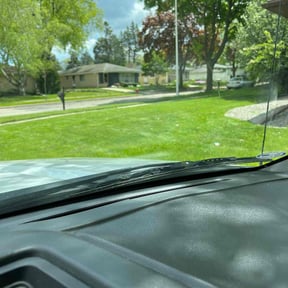 turf care by Evergreen Lawn Care reviewed on September 3, 2024