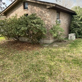 Bush Trimming by Lehneis Handyman Services reviewed on June 27, 2025