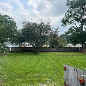 landscaping by Mow Better Lawn, LLC reviewed on August 21, 2025