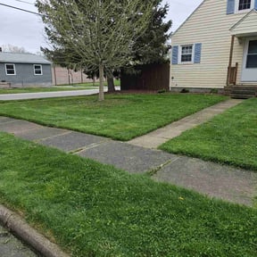 lawn care by A&A lawn service reviewed on August 17, 2025