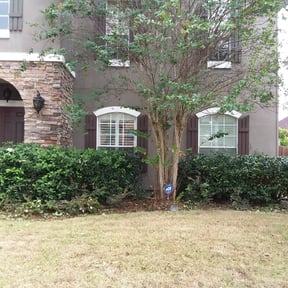 Bush Trimming by Almost Perfect lawncare reviewed on August 15, 2025