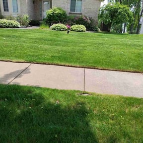 landscaping services by United Hands Royalty Lawn Care reviewed on August 19, 2025