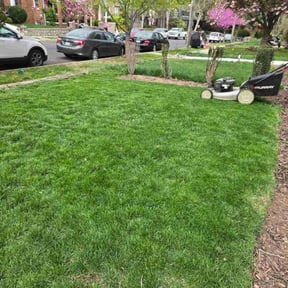 yard maintenance by Mendoza landscaping reviewed on August 19, 2025