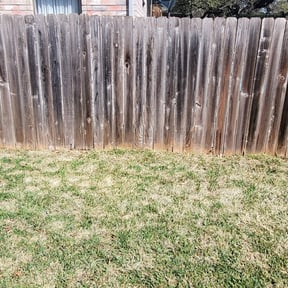 Leaf Removal by Green Lawn Services reviewed on September 22, 2025