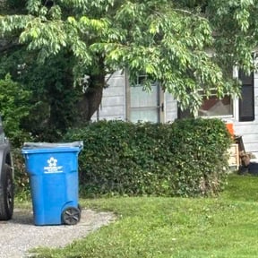 Bush Trimming by A1 lawn care reviewed on June 27, 2026