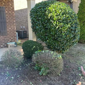 lawn care by Trip reviewed on February 13, 2024