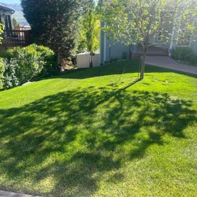 lawn care by Eagle Electric Lawn Care reviewed on October 22, 2024