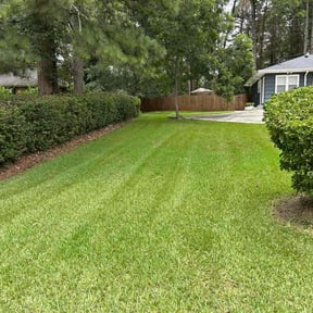 gardening service by Zay's Lawn Service reviewed on August 15, 2025