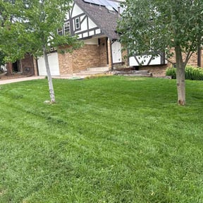 yard maintenance by Old Skool Outdoorz, LLC reviewed on December 25, 2025