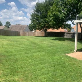 Landscaping by King of Lawn Care LLC reviewed on August 17, 2025