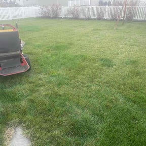 lawn maintenance by Perfect Touch Lawn &amp; Landscaping reviewed on August 5, 2022