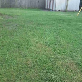 Bush Trimming by DLS Lawn Service reviewed on August 19, 2026