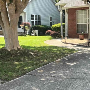 landscaping by Prestige Lawn Care & Landscaping LLC reviewed on August 15, 2025